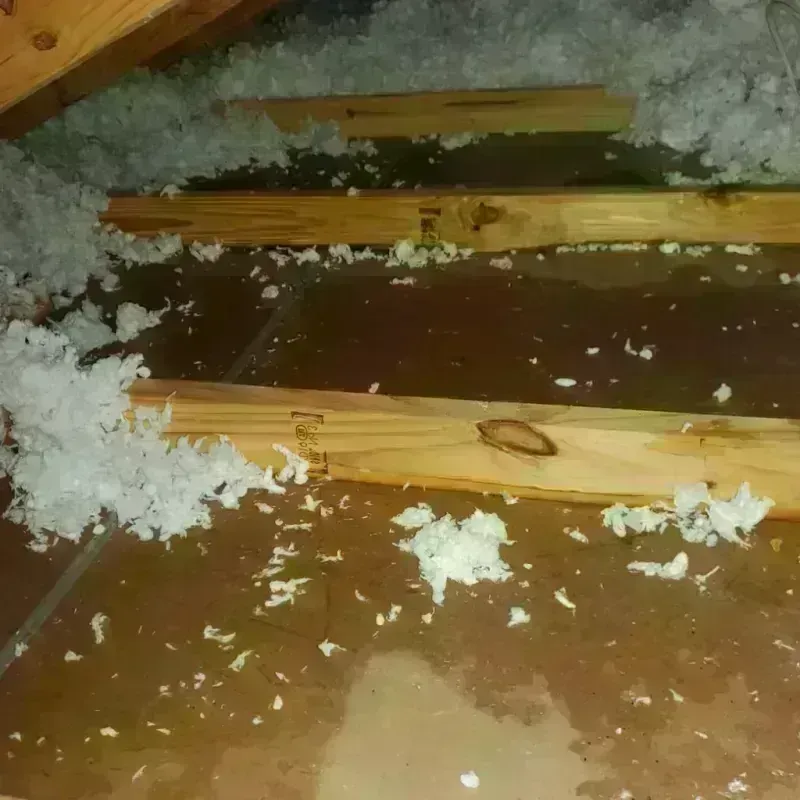 Attic Water Damage in Dillsboro, IN